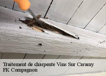 Traitement de charpente vins-sur-caramy-83170 FK Compagnon