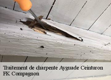 Traitement de charpente ayguade-ceinturon-83400 FK Compagnon