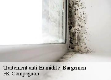 Traitement anti Humidite bargemon-83830 FK Compagnon