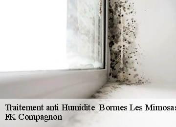 Traitement anti Humidite bormes-les-mimosas-83230 FK Compagnon