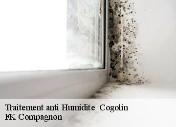 Traitement anti Humidite cogolin-83310 FK Compagnon
