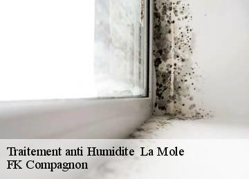 Traitement anti Humidite la-mole-83310 FK Compagnon