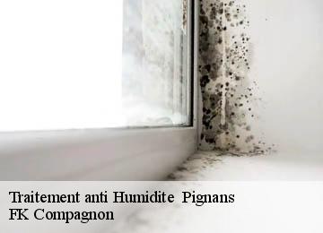 Traitement anti Humidite pignans-83790 FK Compagnon