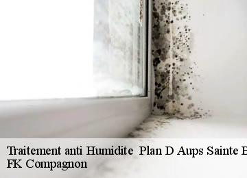 Traitement anti Humidite plan-d-aups-sainte-baume-83640 FK Compagnon