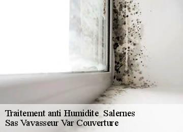 Traitement anti Humidite   salernes-83690 Sas Vavasseur Var Couverture