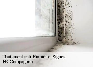 Traitement anti Humidite signes-83870 FK Compagnon