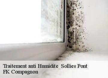 Traitement anti Humidite sollies-pont-83210 FK Compagnon
