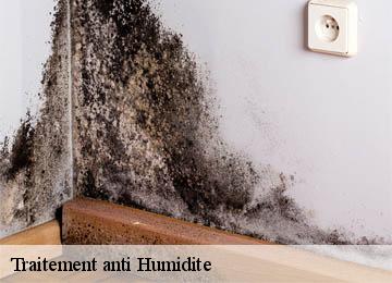 Traitement anti Humidite