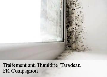 Traitement anti Humidite taradeau-83460 FK Compagnon