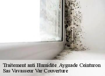Traitement anti Humidite   ayguade-ceinturon-83400 Sas Vavasseur Var Couverture