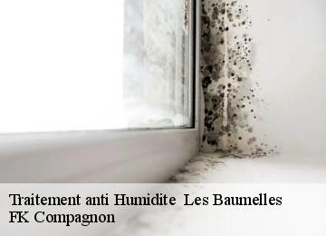 Traitement anti Humidite les-baumelles-83270 FK Compagnon