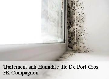 Traitement anti Humidite ile-de-port-cros-83400 FK Compagnon