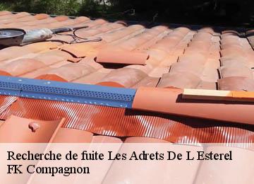 Recherche de fuite les-adrets-de-l-esterel-83600 FK Compagnon