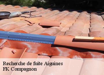 Recherche de fuite aiguines-83630 FK Compagnon