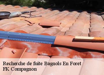 Recherche de fuite bagnols-en-foret-83600 FK Compagnon