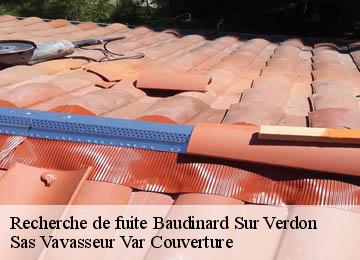 Recherche de fuite  baudinard-sur-verdon-83630 Sas Vavasseur Var Couverture