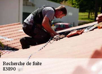 Recherche de fuite 83890