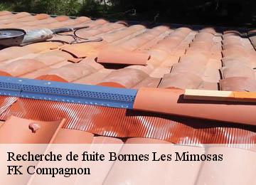 Recherche de fuite bormes-les-mimosas-83230 FK Compagnon