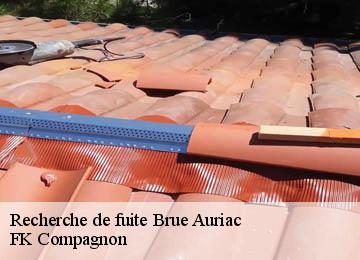 Recherche de fuite brue-auriac-83119 FK Compagnon