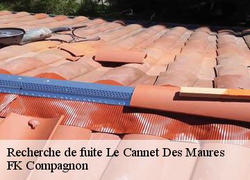 Recherche de fuite le-cannet-des-maures-83340 FK Compagnon