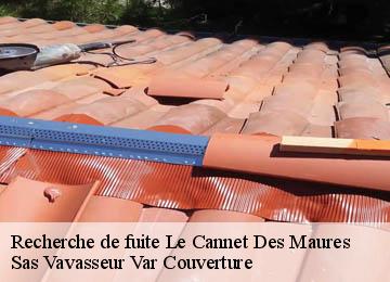Recherche de fuite le-cannet-des-maures-83340 Sas Vavasseur Var Couverture