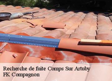 Recherche de fuite comps-sur-artuby-83840 FK Compagnon