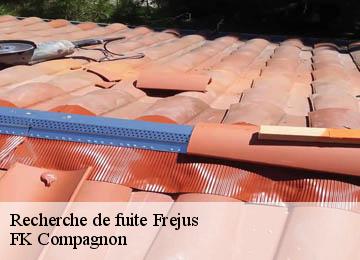 Recherche de fuite frejus-83600 FK Compagnon