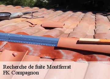 Recherche de fuite montferrat-83131 FK Compagnon