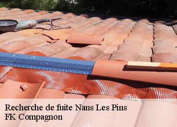 Recherche de fuite nans-les-pins-83860 FK Compagnon