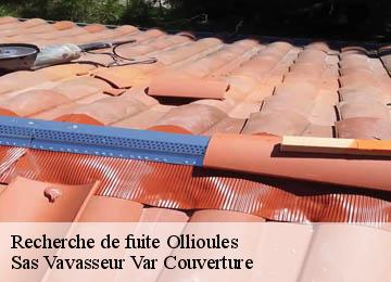 Recherche de fuite ollioules-83190 Sas Vavasseur Var Couverture