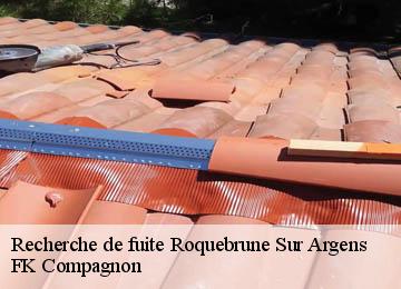 Recherche de fuite roquebrune-sur-argens-83520 FK Compagnon