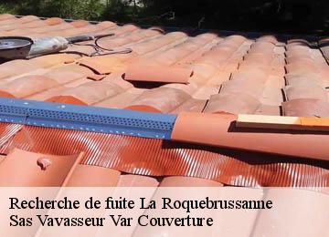 Recherche de fuite la-roquebrussanne-83136 FK Compagnon