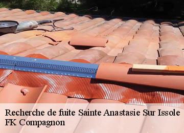 Recherche de fuite sainte-anastasie-sur-issole-83136 FK Compagnon