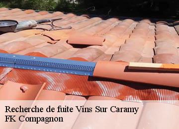 Recherche de fuite vins-sur-caramy-83170 FK Compagnon