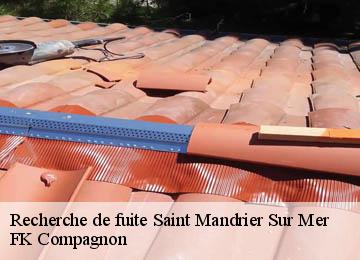 Recherche de fuite saint-mandrier-sur-mer-83430 FK Compagnon