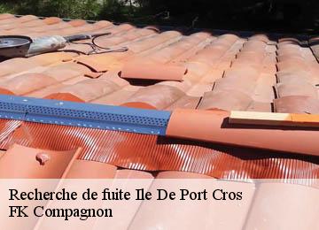 Recherche de fuite ile-de-port-cros-83400 FK Compagnon